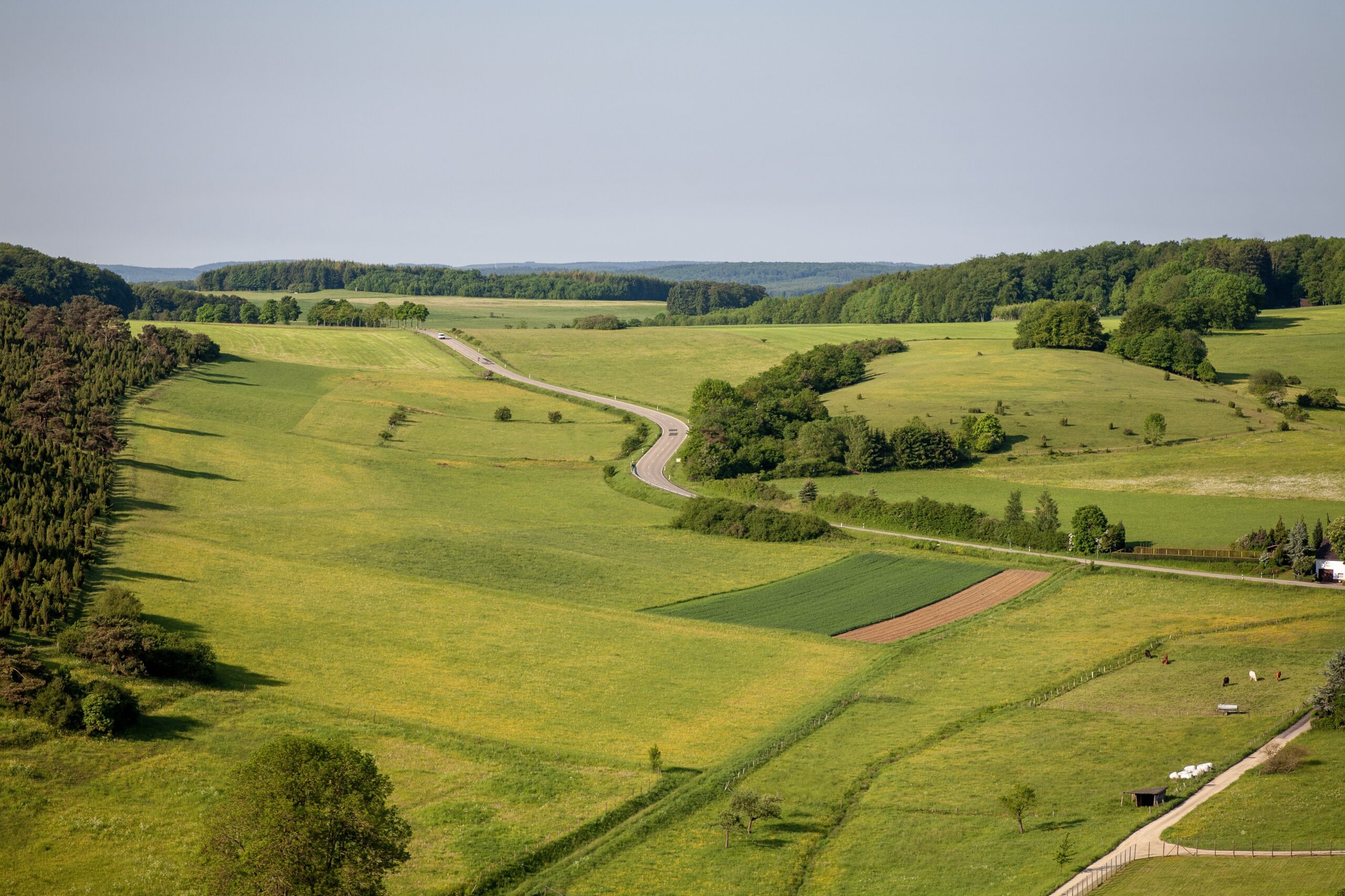 Expert Land and Regulatory Services